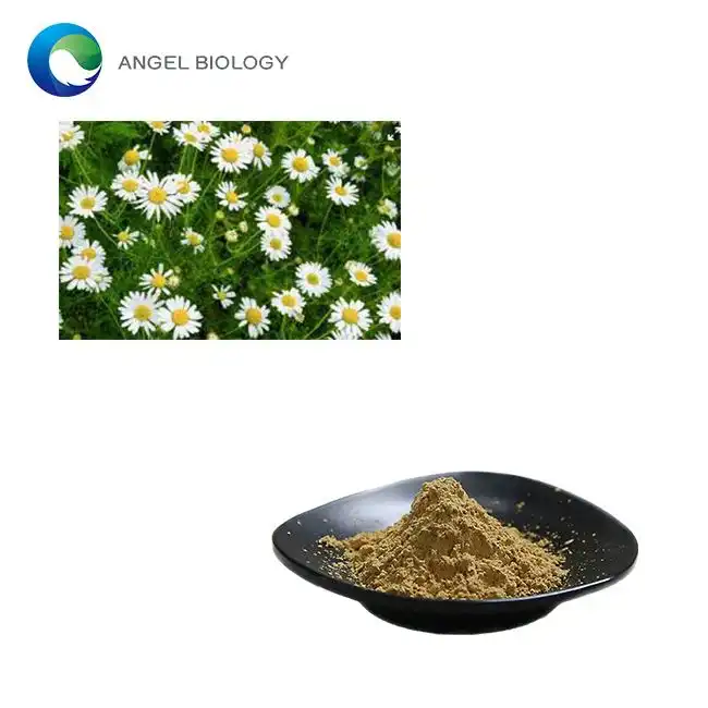 Anthemis Nobilis Flower Extract